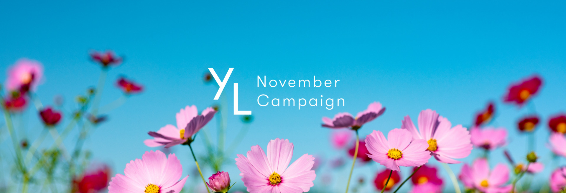 11月1日（土）〜25日（火）YLおトク便限定キャンペーン｜心と体をサポートするラインナップ！