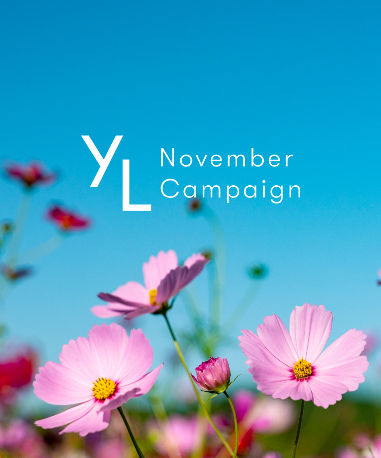 11月1日（土）〜25日（火）YLおトク便限定キャンペーン｜心と体をサポートするラインナップ！