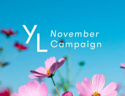 YLベーシックキット ブレンド｜ 11月1日（金）よりリニューアル