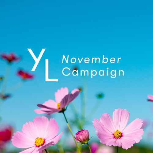 数量限定❣️新品　ピューリフィケーション15ml 2本セット　夏季限定セール❣️ ピューリフィケーション 15ml | ヤングリビング精油 | Young