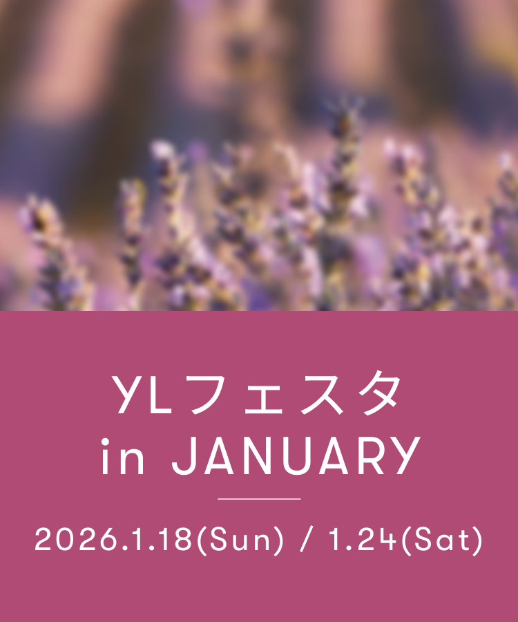 YL フェスタ1月