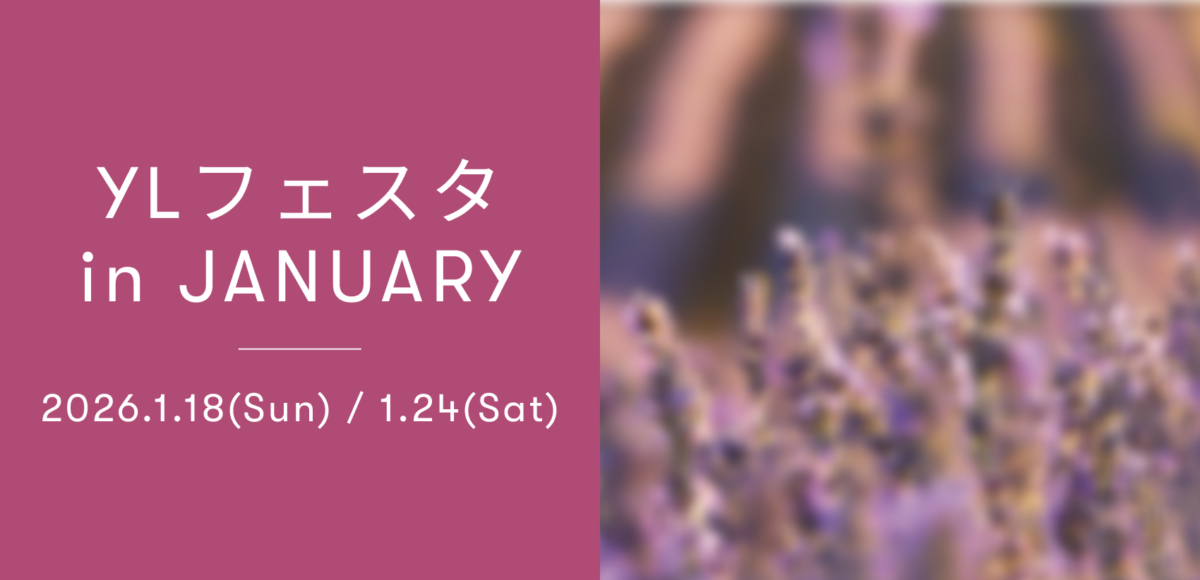 YL フェスタ1月
