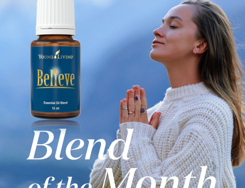 Blend of the Month 12～1月｜一年を振り返り、新しい扉を開く特別な季節。