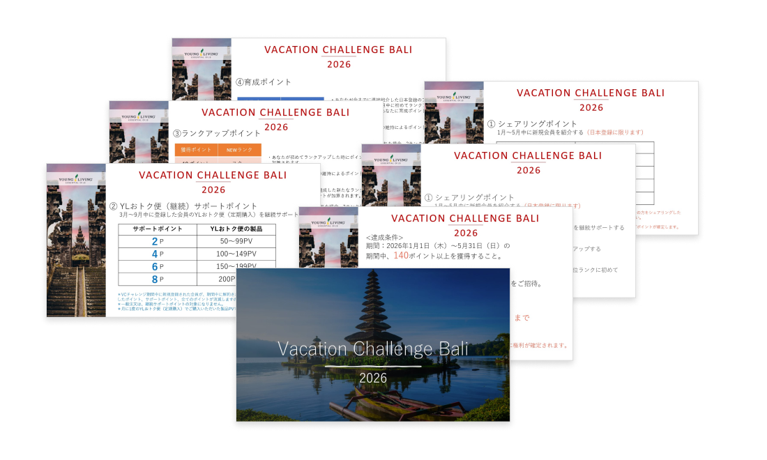 ポイントの獲得方法PDF