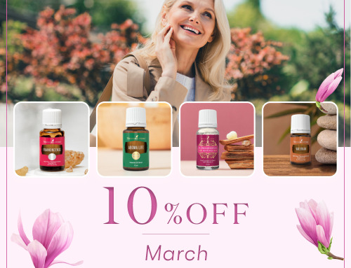 10％OFF 今月の注目製品！｜新しい季節を心地よく迎えるための4アイテム