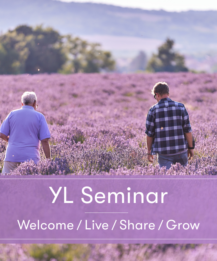 YLセミナー｜目的やステージに合わせて選べる、4つのセミナー