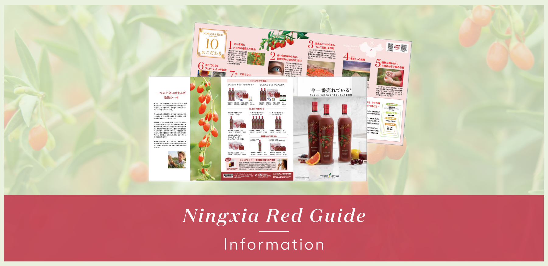 ニンシアレッド 三つ折りパンフレット販売開始のお知らせ