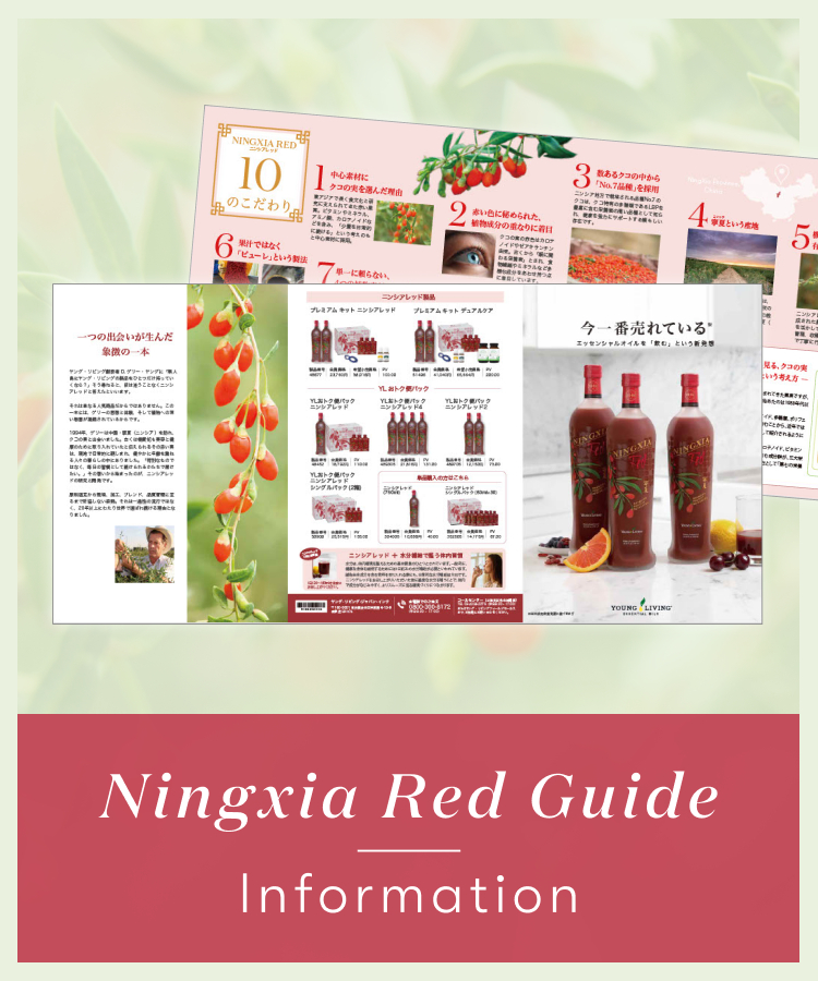 ニンシアレッド 三つ折りパンフレット販売開始のお知らせ