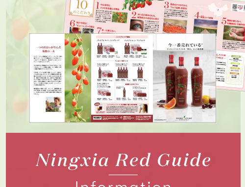 ニンシアレッド 三つ折りパンフレット販売開始のお知らせ