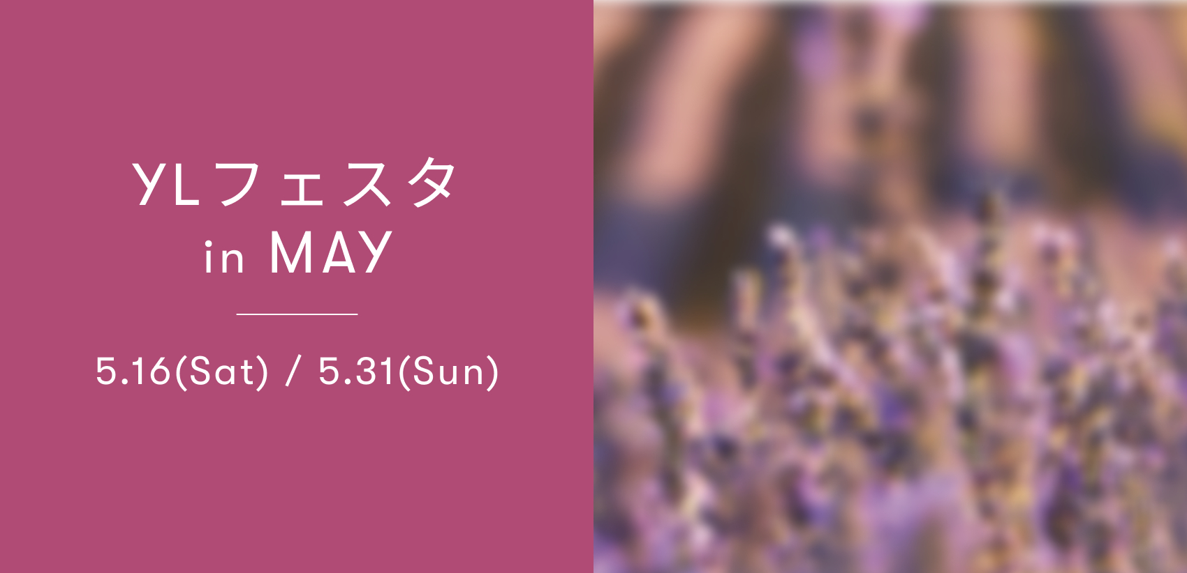 YLフェスタ5月のご案内 ｜ アロマ体験型イベント・YLフェスタを開催！