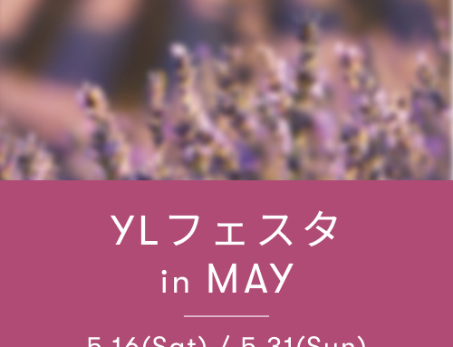 YLフェスタ5月のご案内  ｜ アロマ体験型イベント・YLフェスタを開催！