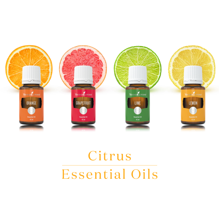 Citrus Essential Oils シトラスの香りのエッセンシャルオイル