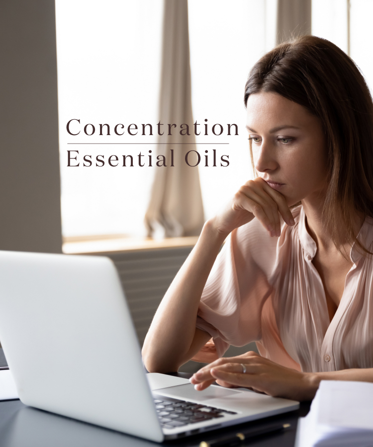 Concentration Essential Oils 集中したいときにおすすめのエッセンシャルオイル