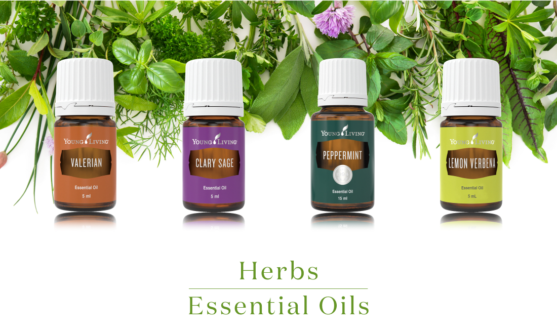 Herbs Essential Oils-1 ハーブの香りのエッセンシャルオイル