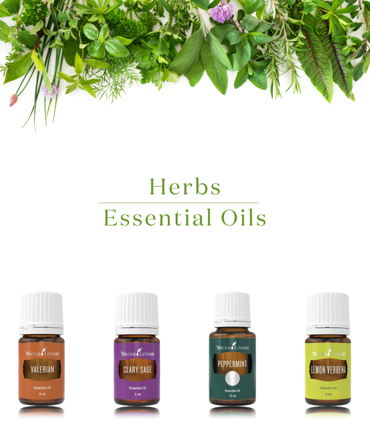Herbs Essential Oils ハーブの香りのエッセンシャルオイル