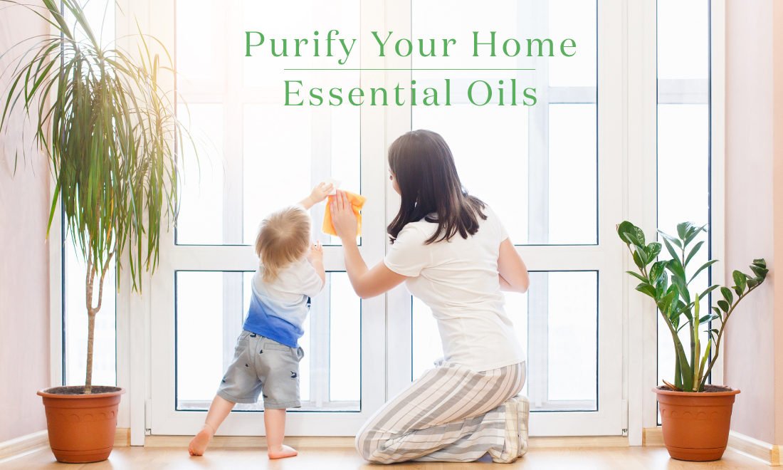 Purify Your Home Essential Oils-1 清潔な環境づくりにおすすめのエッセンシャルオイル