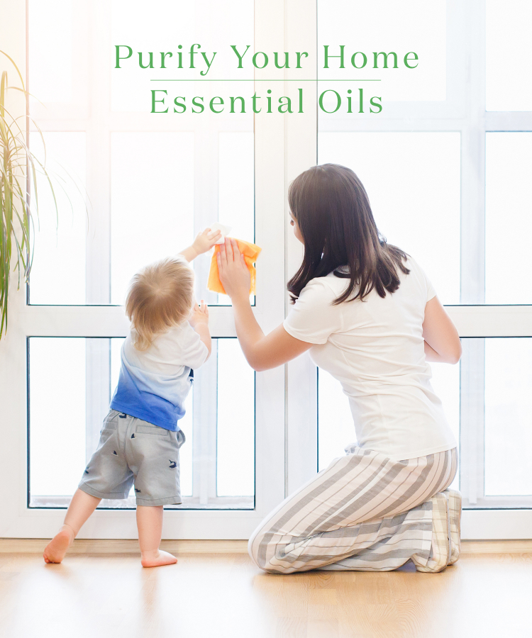 Purify Your Home Essential Oils 清潔な環境づくりにおすすめのエッセンシャルオイル