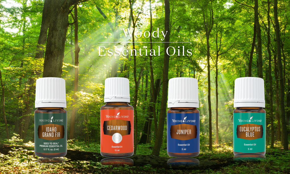 Woody Essential Oils-1 ウッディの香りのエッセンシャルオイル