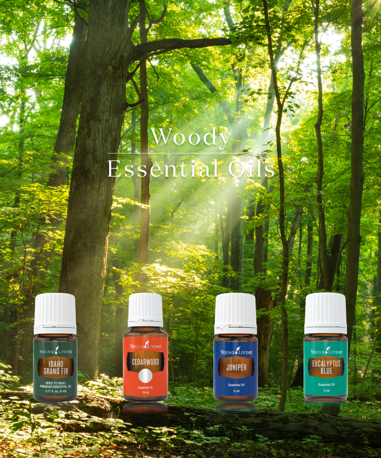 Woody Essential Oils ウッディの香りのエッセンシャルオイル