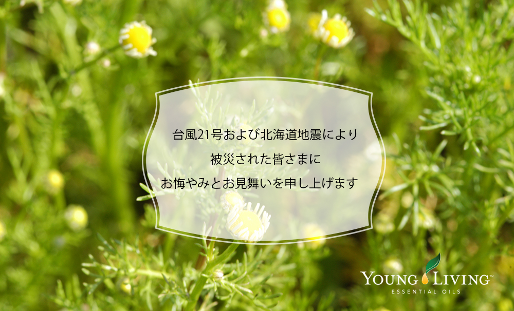 台風21号および北海道地震により被災された皆さまにお悔やみとお見舞いを申し上げます ヤング リヴィング 公式ブログ