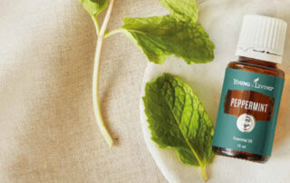 製品カタログが新しくなりました！