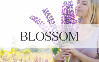 アロマライフ マガジン　BLOSSOMオンライン