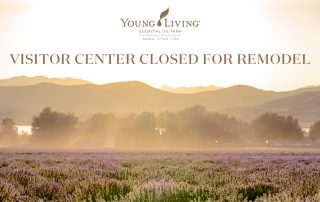 MonaVCRemodel_DiamondMicrographic_US