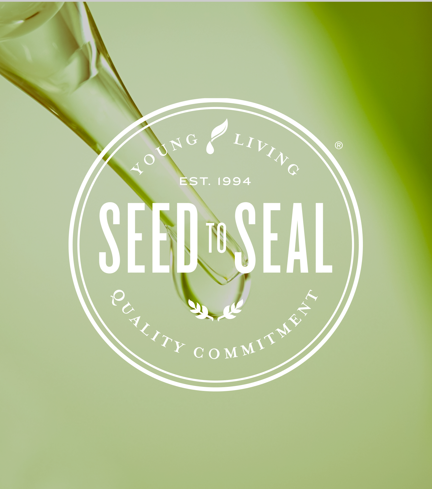 100% Pure Seed to Seal