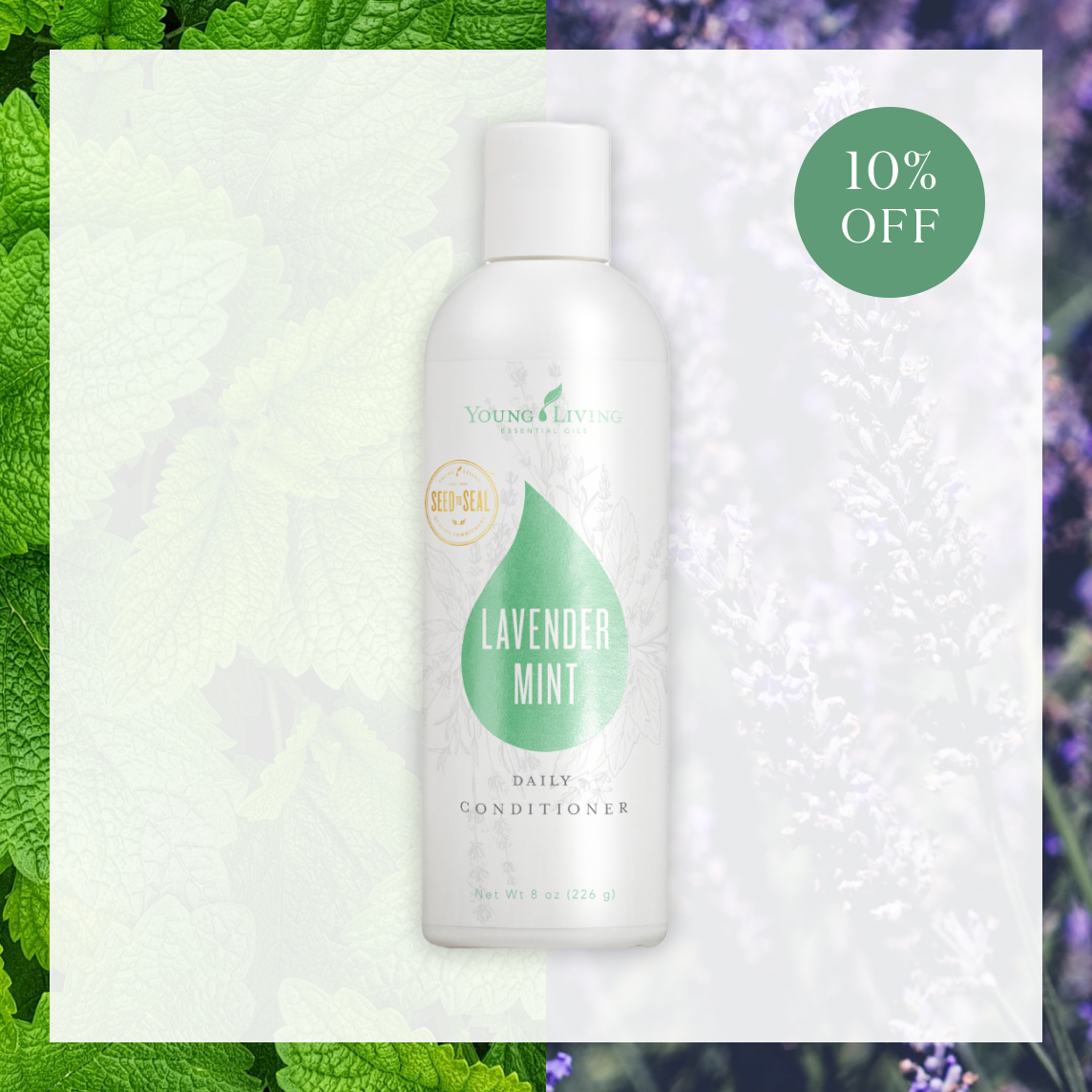 June, 2021 10 Off Promo｜From June 1st, 2021 to June 25th, 2021 ヤング