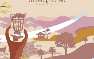 【10月より】 エッセンシャルオイルのプレミアムキットがリニューアルします