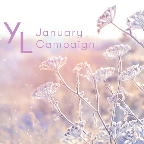 1月1日（祝）〜25日（火）YLおトク便限定キャンペーン｜新年の始まりをフレッシュな気持ちで