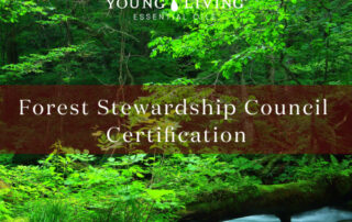 【持続可能な梱包へ】FSC認証を取得した段ボールに変わります