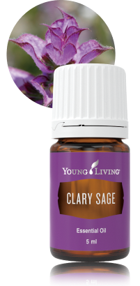 ヤングリヴィング セージ　sage アロマオイル　youngliving