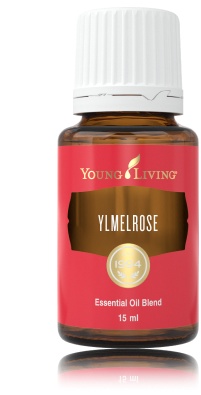 youngliving-essential-blend-oil-337805-ylmelrose