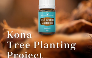 第１回 ｜コナ サンダルウッド植林プロジェクト