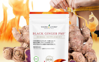 BMIが高めの方で、脂肪対策をしたい方へ！ブラックジンジャー PMF、9月1日（金）正式発売開始