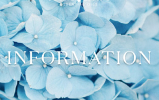 新規会員登録をする際の支払い方法の変更について