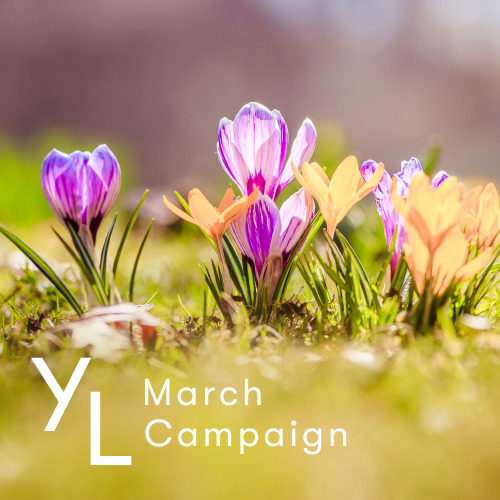 3月1日（金）〜25日（月）YLおトク便限定キャンペーン｜新生活を心と身体の両面からサポート