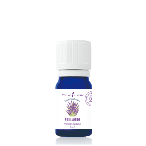 "YLJ25周年記念ロゴ入り ワイルドラベンダー"