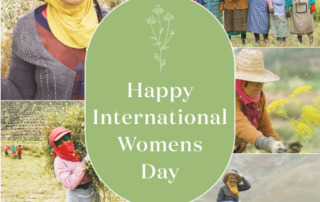 国際女性デー｜小さな支援が女性の自立を支える大きな力に