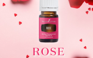 ローズ再販のお知らせ