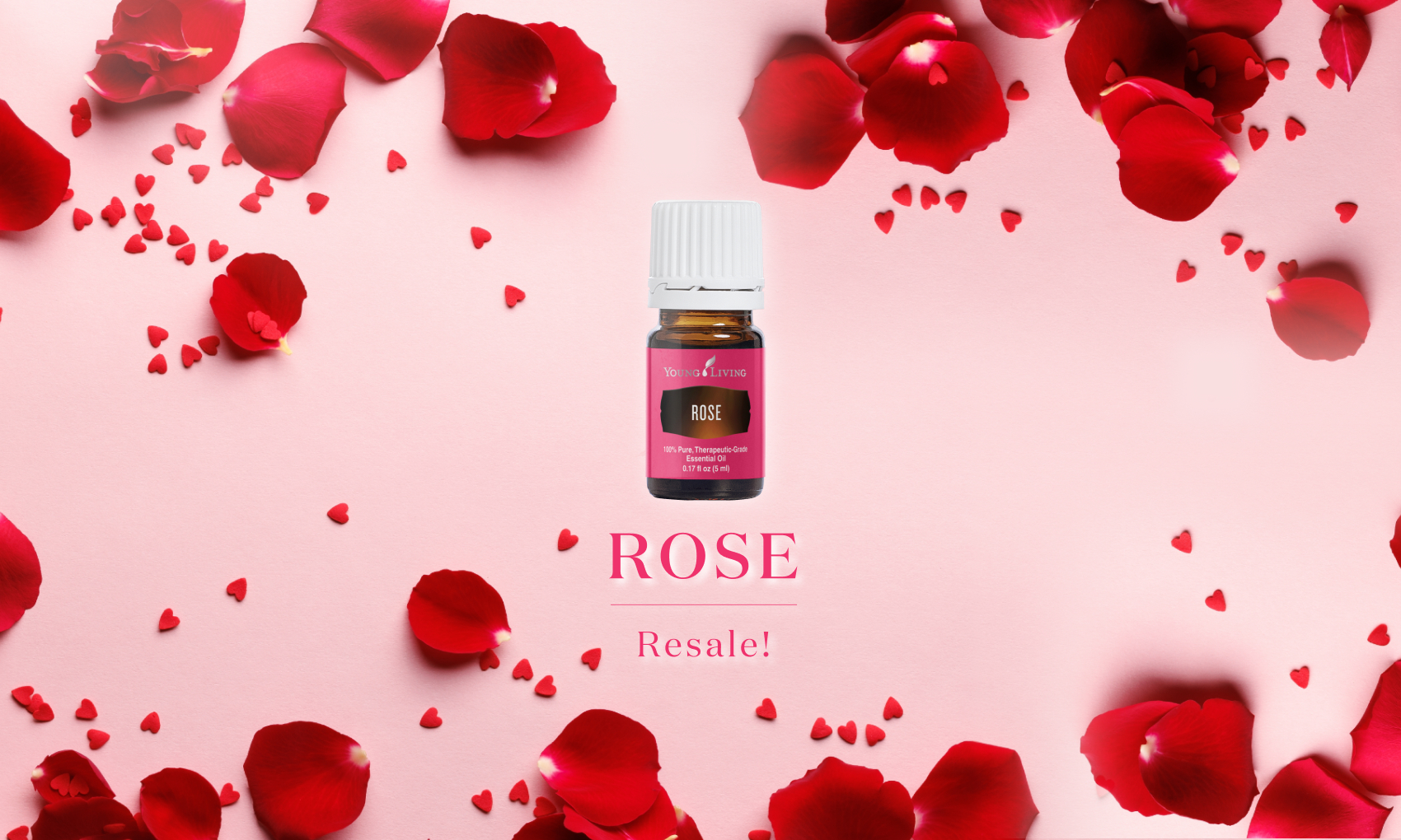 ローズ再販のお知らせ