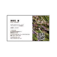 会員用名刺 ラベンダー