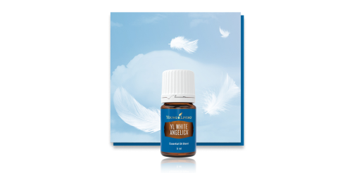 ホワイトアンジェリカ