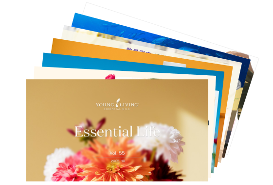 毎月のお得な情報をお届けする「エッセンシャルライフ」最新号が公開