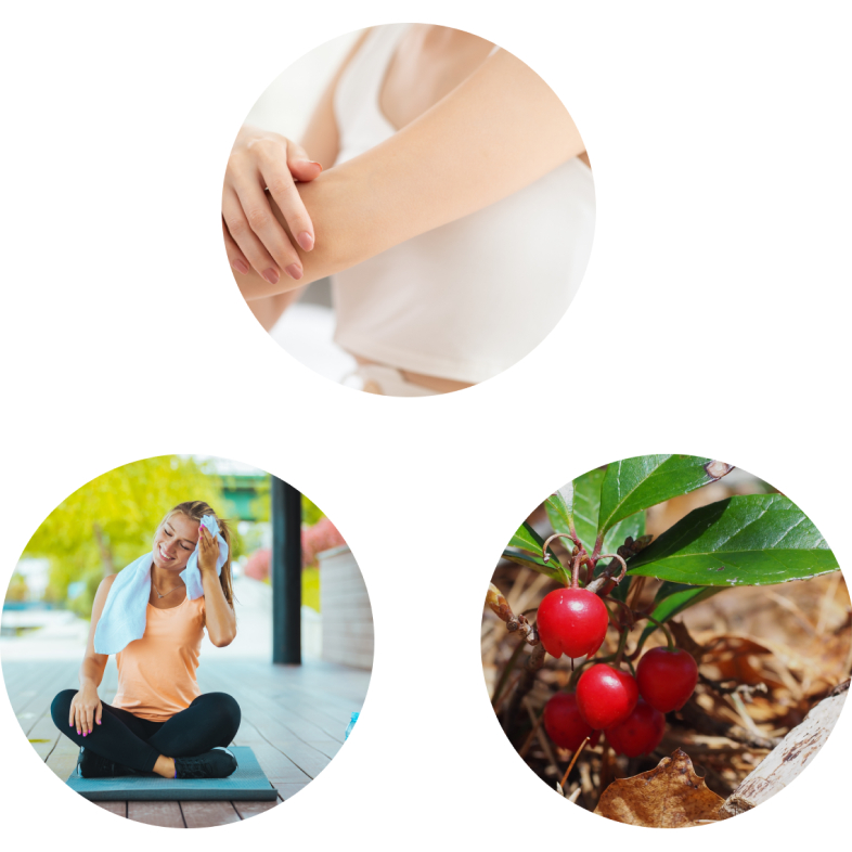 ウィンターグリーンがクールに香るボディクリーム。 ひんやりとした心地の良い感触でスポーツ後や火照りを感じたときにおすすめです。