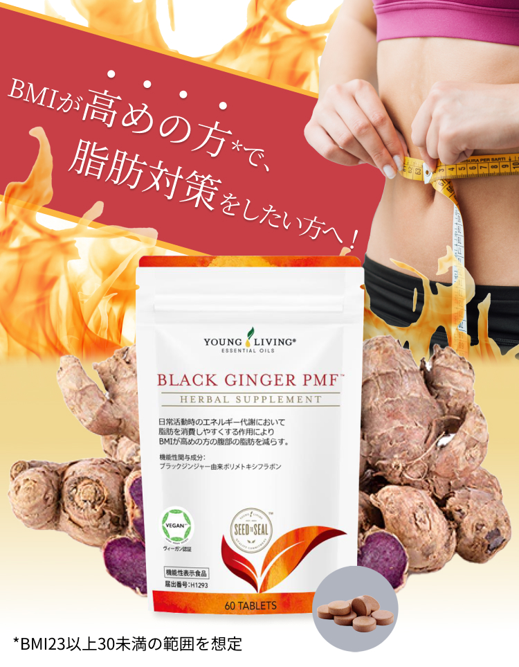 BLACK GINGER PMF
