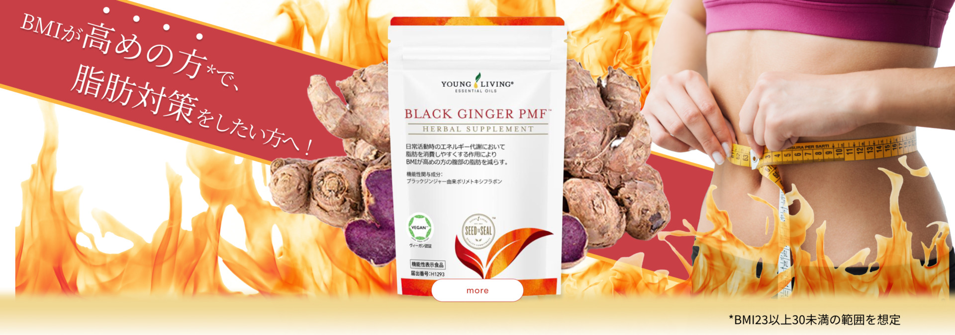 BLACK GINGER PMF