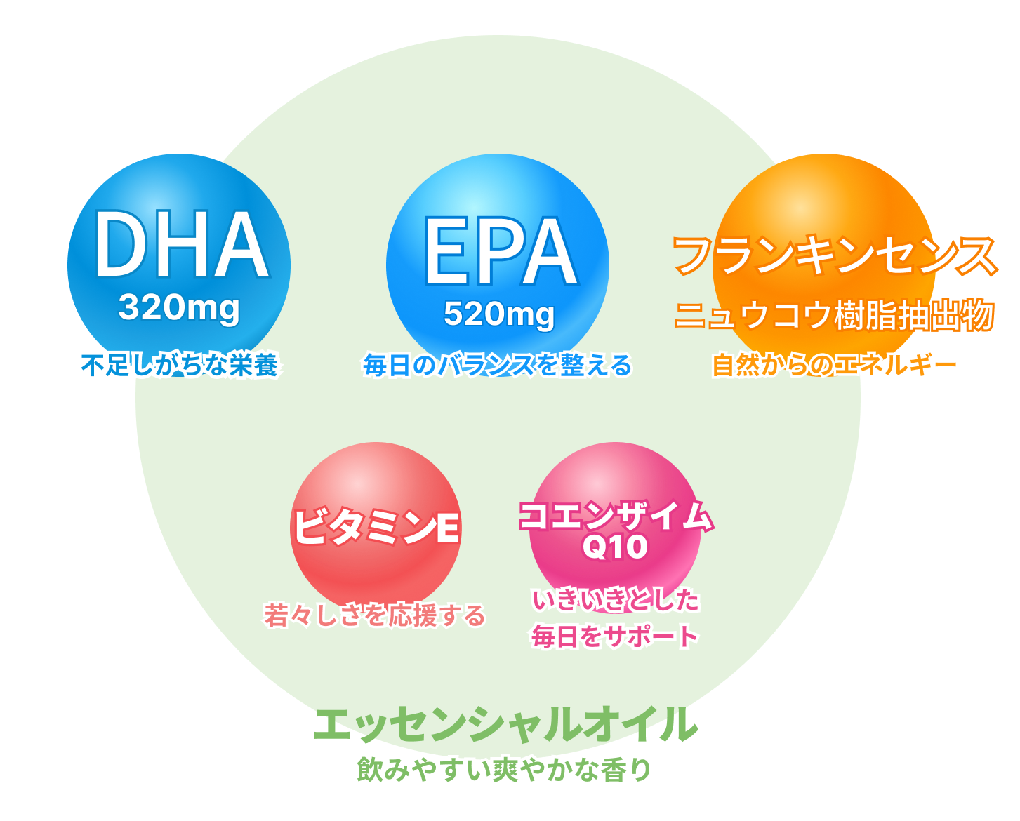 新時代のナチュラルフォーミュラ。日々のコンディションを整え、内側からの調和をサポートします。