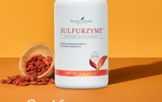 サルファザイム｜ずっと毎日元気に歩き続けたいあなたを応援